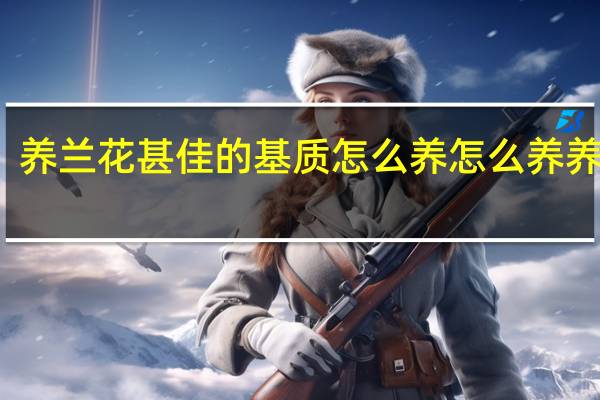 养兰花甚佳的基质怎么养 怎么养养兰花