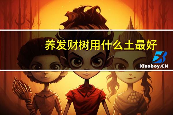 养发财树用什么土最好