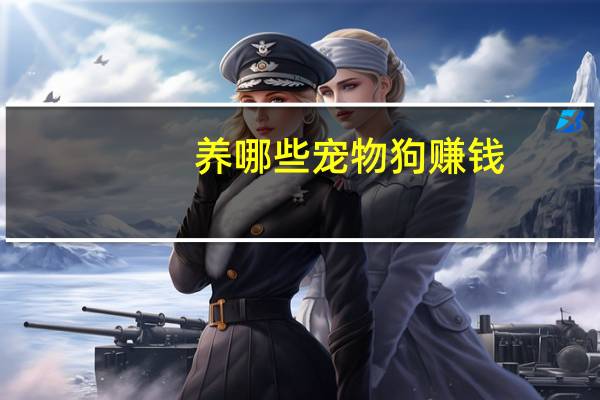 养哪些宠物狗赚钱