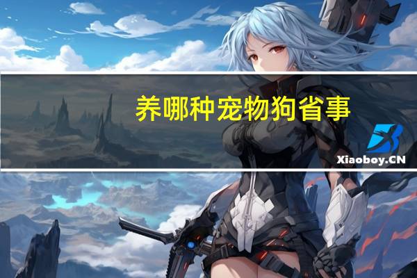 养哪种宠物狗省事