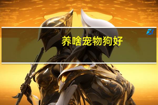 养啥宠物狗好