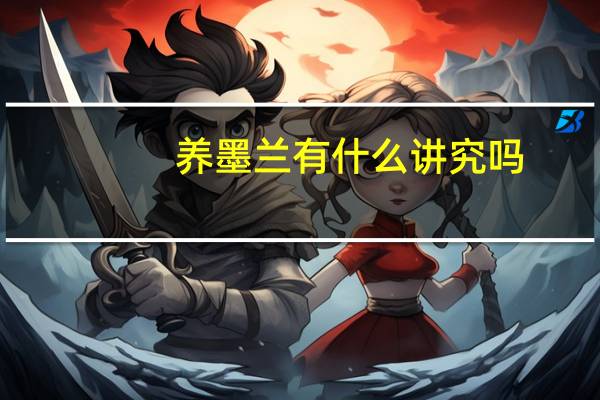 养墨兰有什么讲究吗