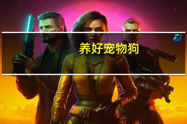 养好宠物狗