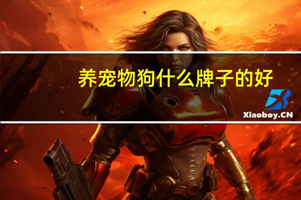 养宠物狗什么牌子的好