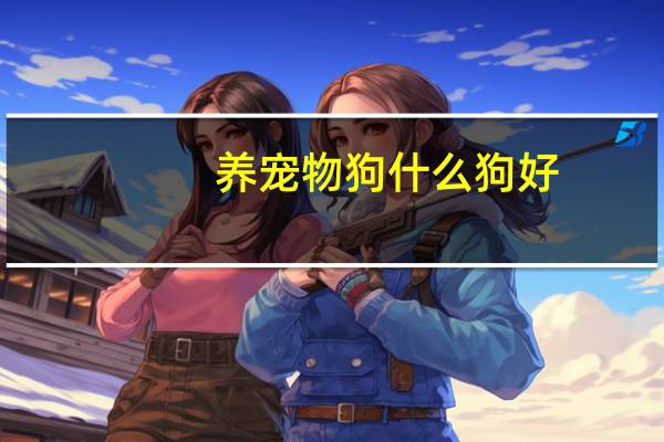 养宠物狗什么狗好