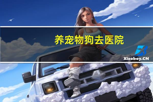 养宠物狗去医院