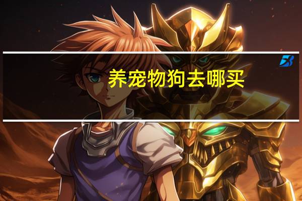 养宠物狗去哪买