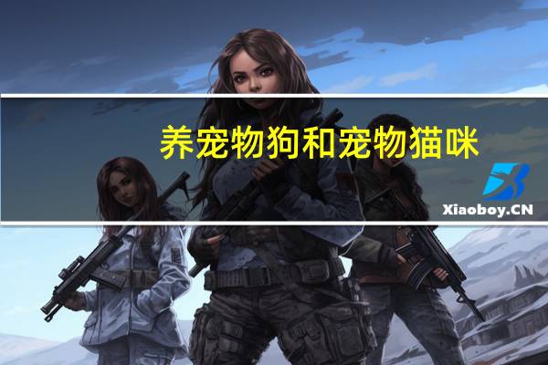 养宠物狗和宠物猫咪