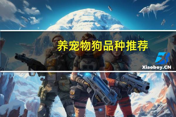 养宠物狗品种推荐