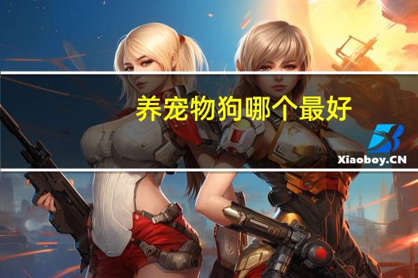 养宠物狗哪个最好