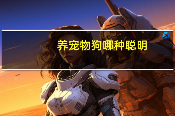 养宠物狗哪种聪明