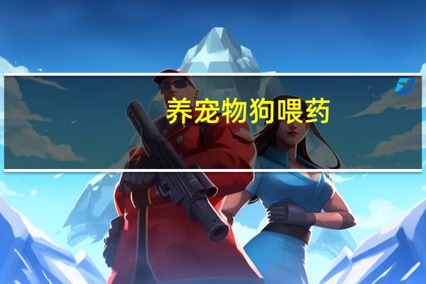 养宠物狗喂药