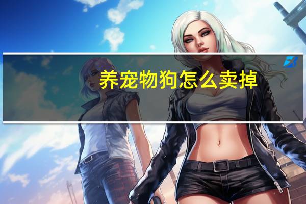 养宠物狗怎么卖掉