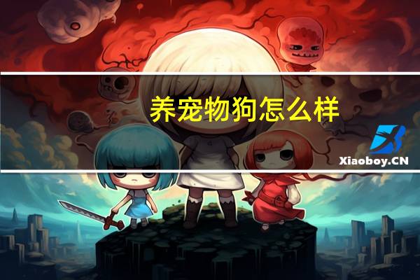 养宠物狗怎么样