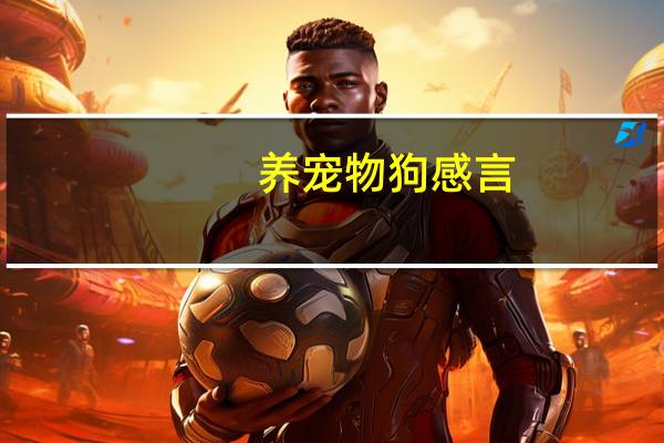 养宠物狗感言
