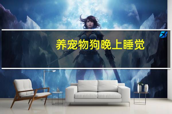 养宠物狗晚上睡觉