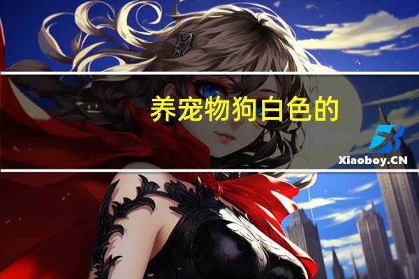 养宠物狗白色的