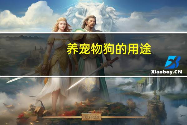 养宠物狗的用途