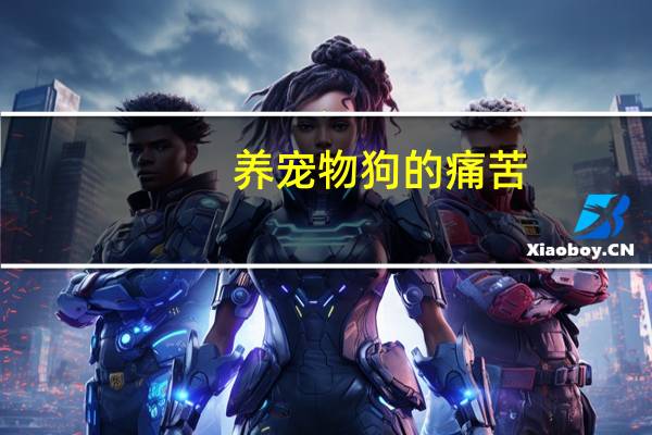养宠物狗的痛苦