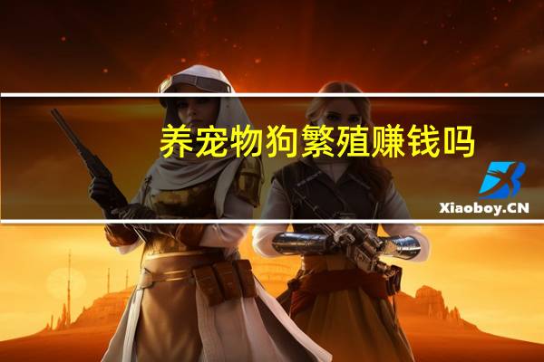 养宠物狗繁殖赚钱吗