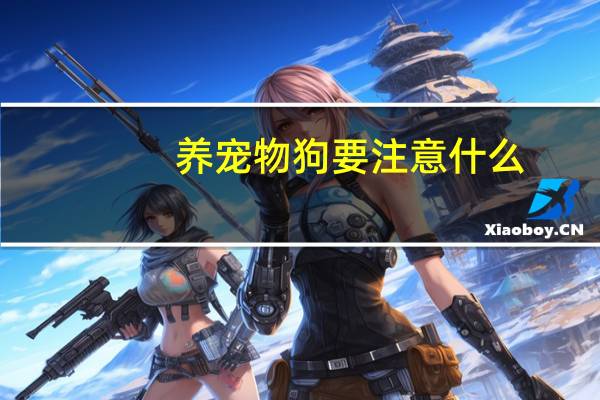 养宠物狗要注意什么