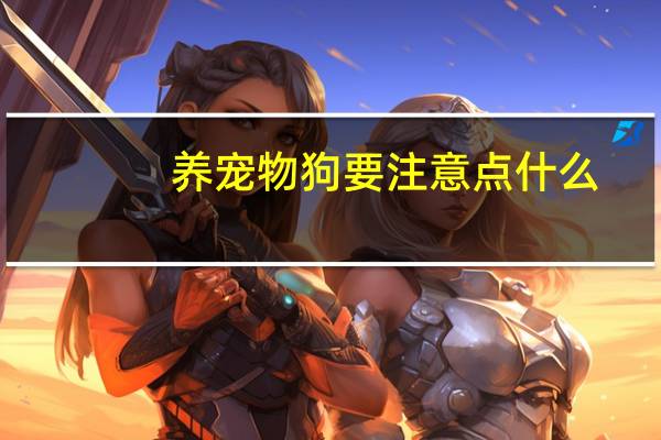 养宠物狗要注意点什么