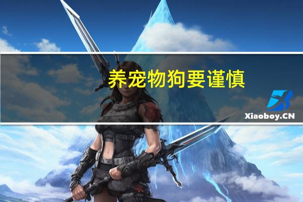 养宠物狗要谨慎