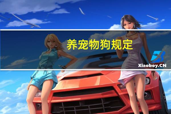 养宠物狗规定