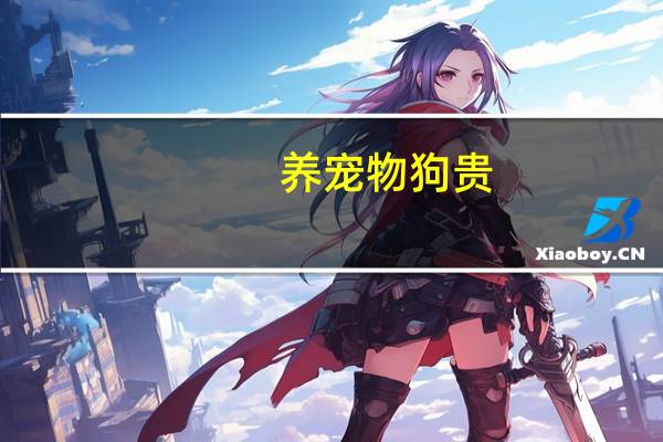 养宠物狗贵