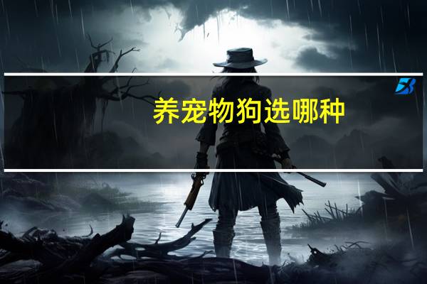 养宠物狗选哪种