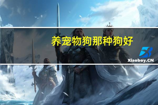 养宠物狗那种狗好