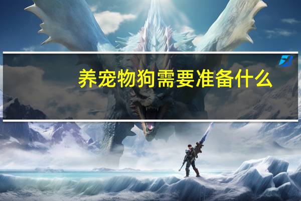 养宠物狗需要准备什么
