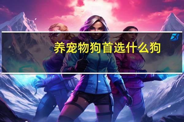 养宠物狗首选什么狗