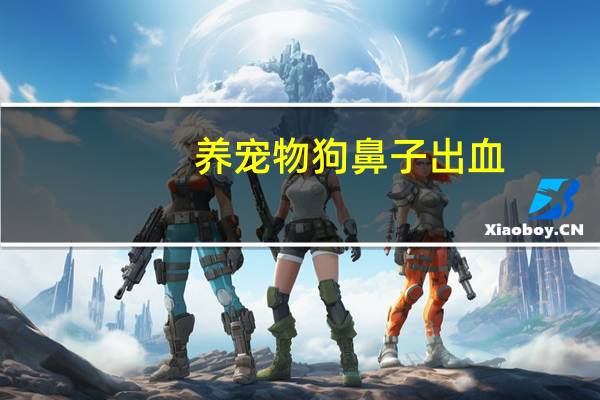 养宠物狗鼻子出血