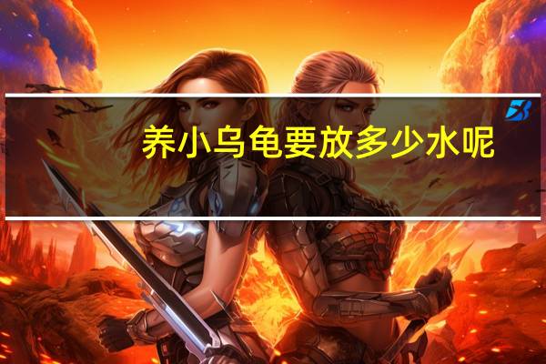 养小乌龟要放多少水呢
