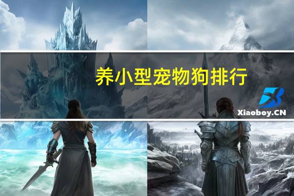 养小型宠物狗排行