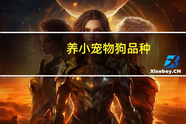 养小宠物狗品种