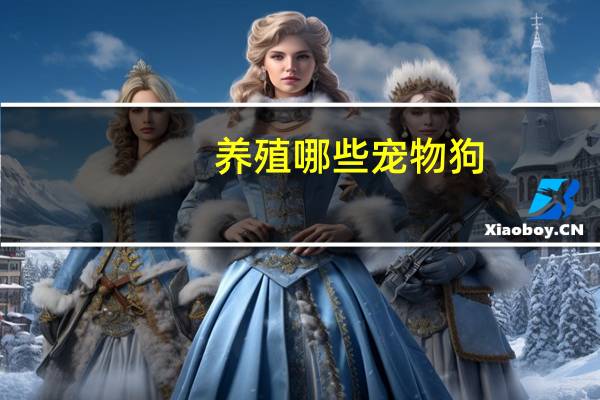 养殖哪些宠物狗