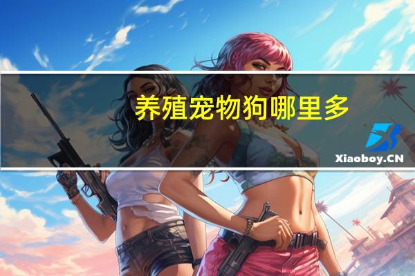 养殖宠物狗哪里多