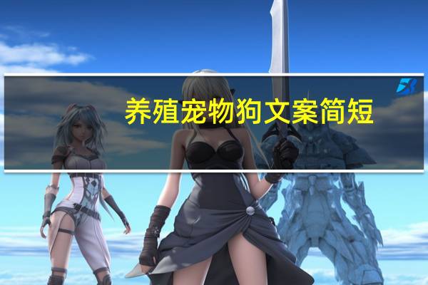 养殖宠物狗文案简短