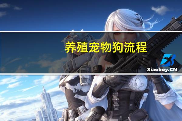 养殖宠物狗流程