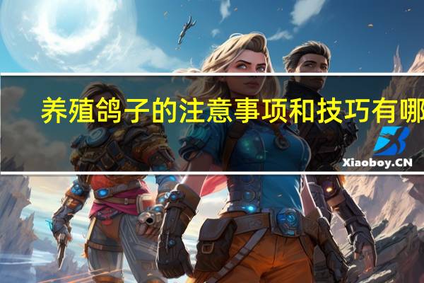养殖鸽子的注意事项和技巧有哪些