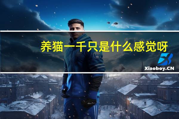 养猫一千只是什么感觉呀