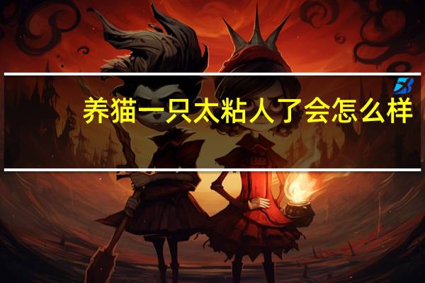 养猫一只太粘人了会怎么样