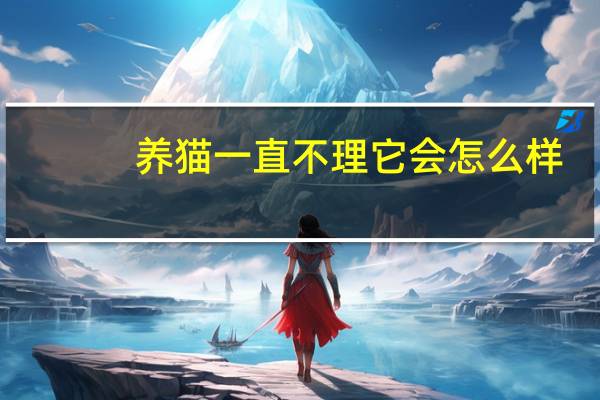 养猫一直不理它会怎么样