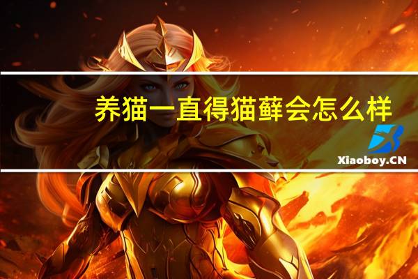 养猫一直得猫藓会怎么样