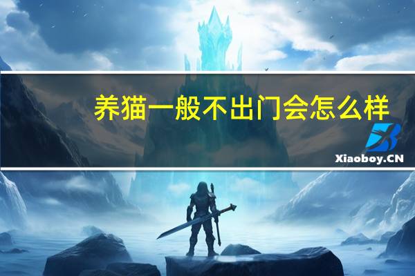养猫一般不出门会怎么样