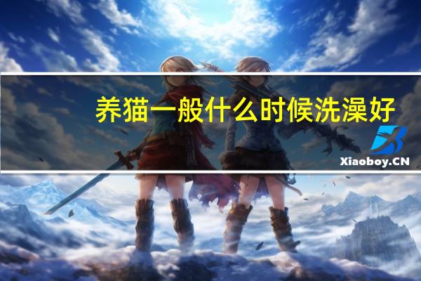 养猫一般什么时候洗澡好