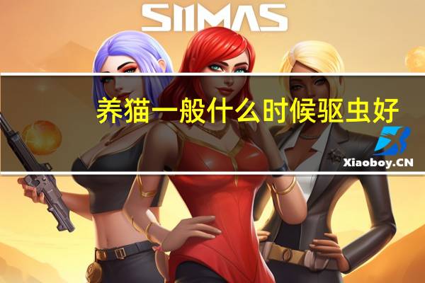养猫一般什么时候驱虫好