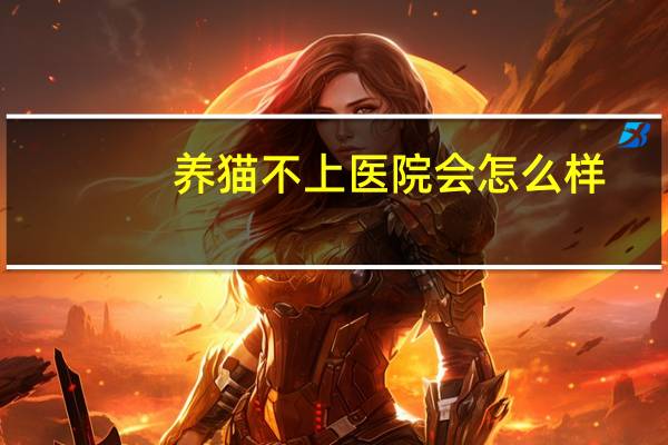 养猫不上医院会怎么样